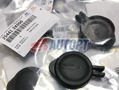 Ảnh của NẮP ĐẬY BÌNH NƯỚC PHỤ HYUNDAI ELANTRA 2010-2020